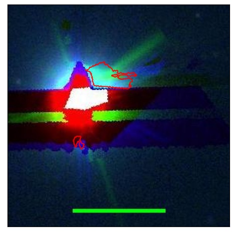 2329_014.0_contour_g