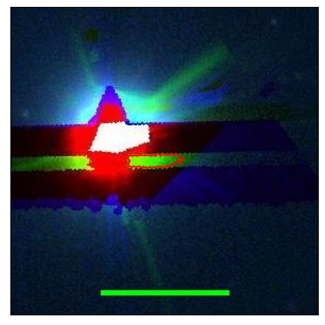 2329_014.0_contour_r