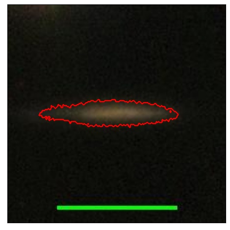 2331_017.0_contour_i