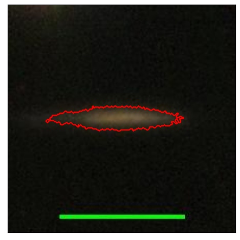 2331_017.0_contour_r