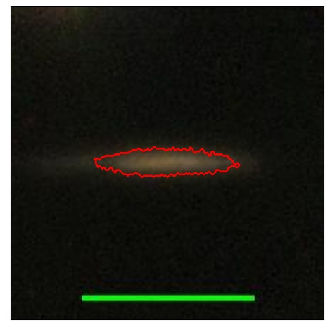 2331_017.0_contour_z