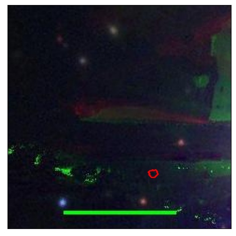 2332_027.0_contour_g