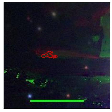 2332_027.0_contour_r