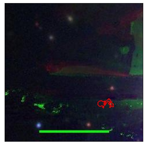 2332_027.0_contour_y