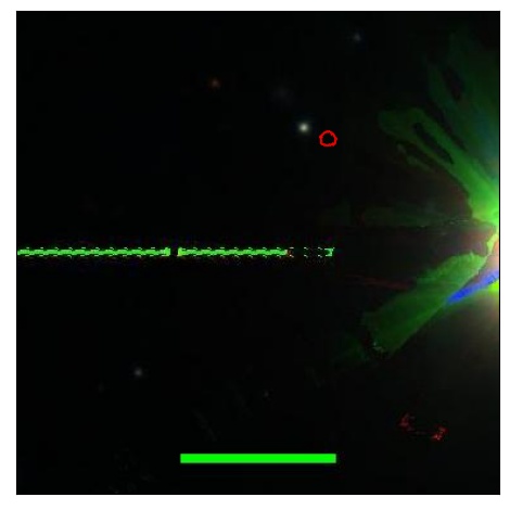 2335_038.0_contour_y