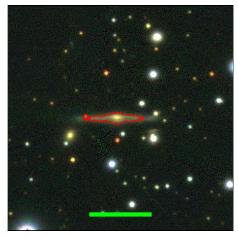 2338_011.0_contour_y