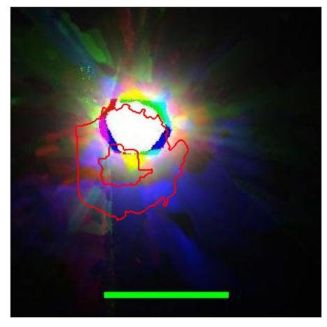 2370_011.0_contour_y