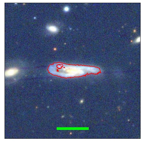 2442_025.1_contour_g