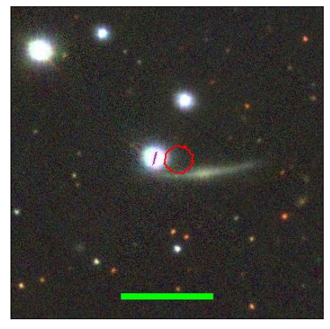 2445_043.0_contour_y