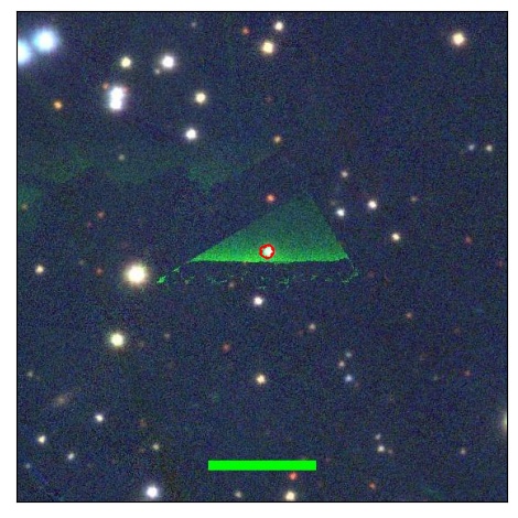 2446_021.0_contour_g