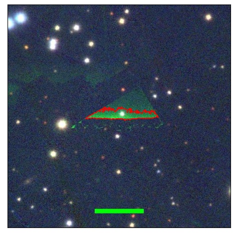 2446_021.0_contour_r