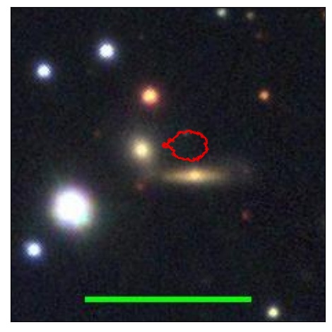 2446_039.0_contour_z