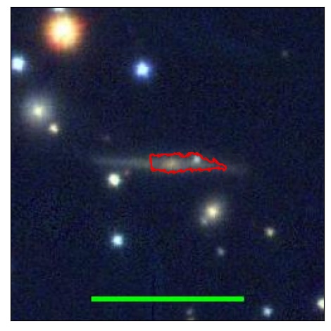 2447_007.0_contour_y