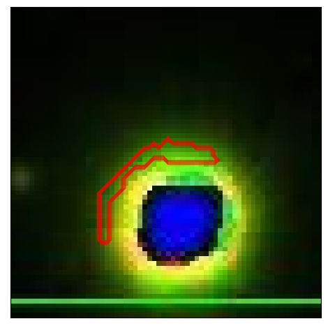 2449_000.0_contour_z