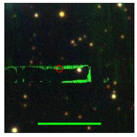 2450_018.0_contour_y