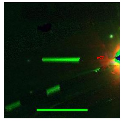 2464_072.1_contour_g