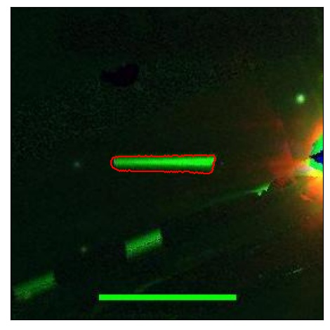 2464_072.1_contour_r