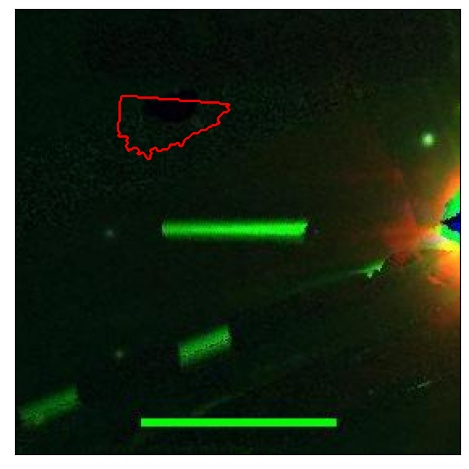 2464_072.1_contour_y