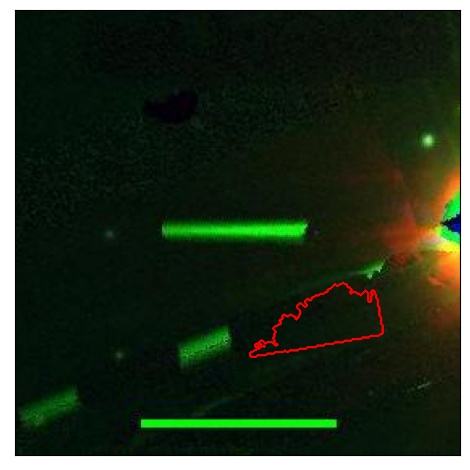 2464_072.1_contour_z