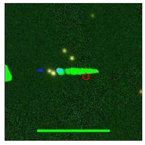 2464_088.0_contour_g