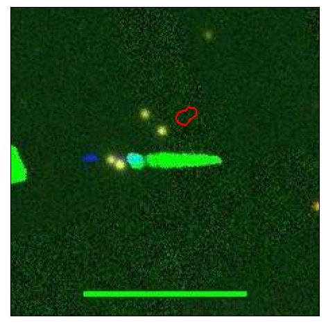 2464_088.0_contour_y