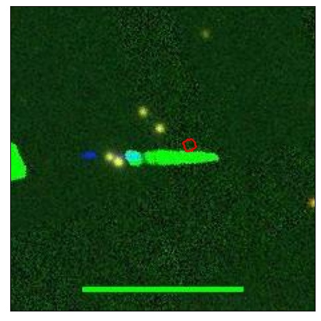 2464_088.0_contour_z