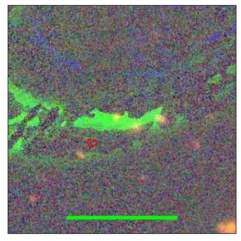 2479_010.0_contour_g