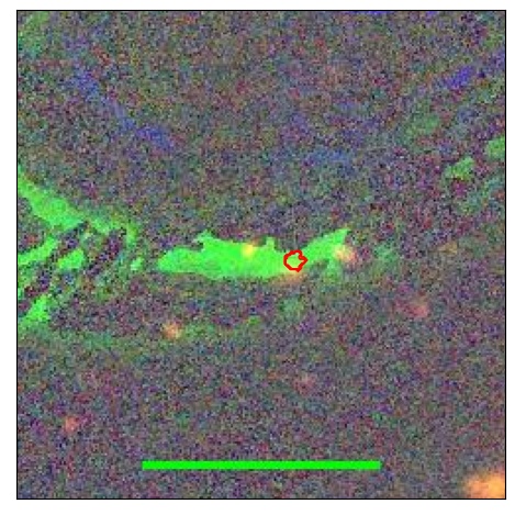 2479_010.0_contour_i