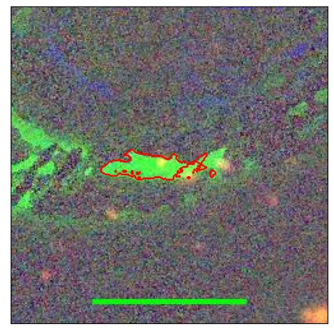 2479_010.0_contour_r