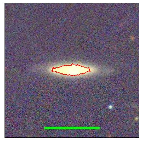 2481_031.0_contour_y