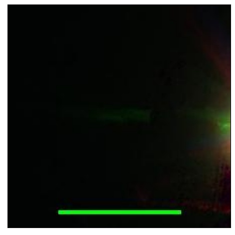 2515_038.0_contour_z