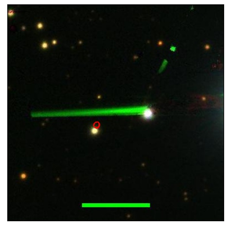 2537_013.0_contour_y