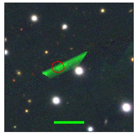 2548_041.0_contour_g