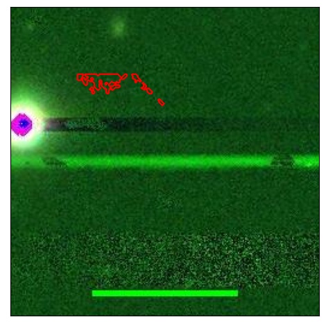 2549_007.0_contour_g