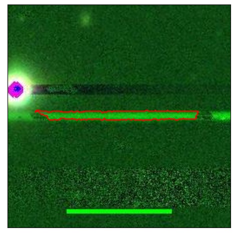 2549_007.0_contour_r