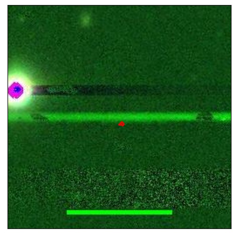 2549_007.0_contour_y