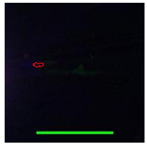 2579_071.0_contour_g