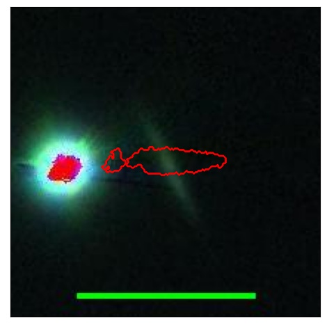 2613_048.0_contour_i