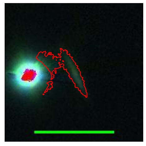 2613_048.0_contour_r