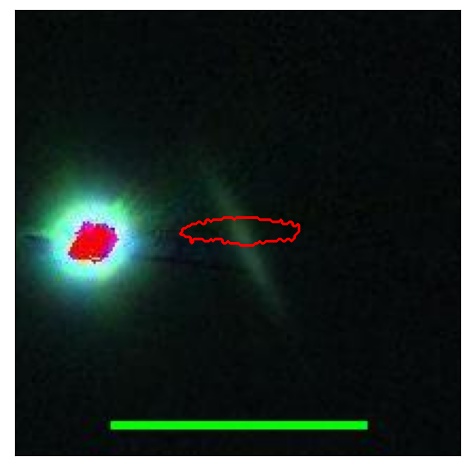 2613_048.0_contour_z