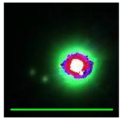 2617_095.0_contour_y