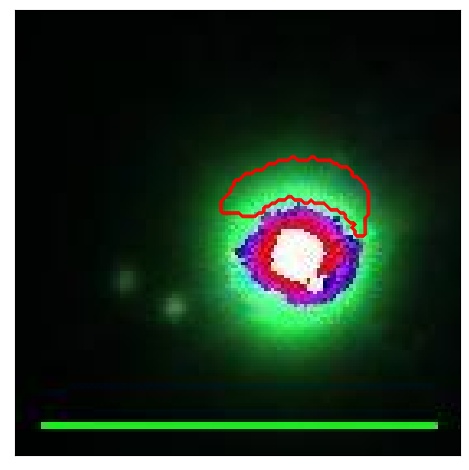 2617_095.0_contour_z