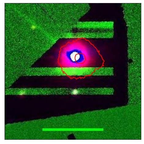 2631_008.0_contour_g