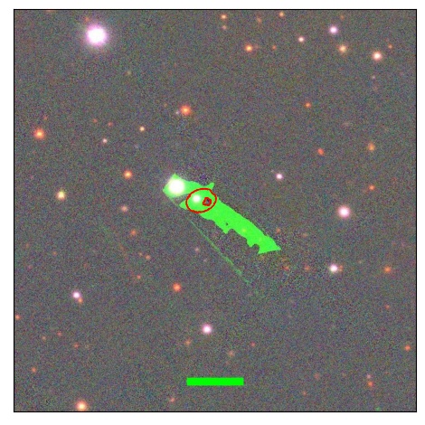 2631_016.0_contour_r