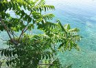 budva16