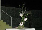 IMG 2762