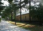 IMG 0977