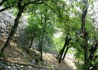 IMG 0994