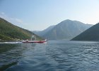 Gerceg Novi00p1
