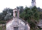 IMG 3985